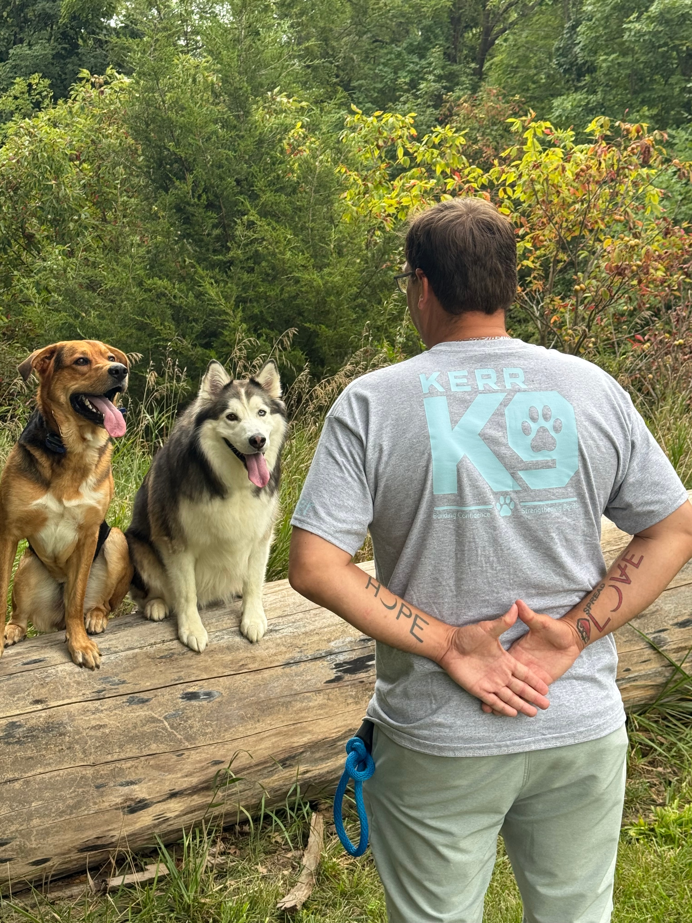 Dog responding to training command outdoors